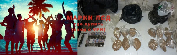 гашик Аркадак