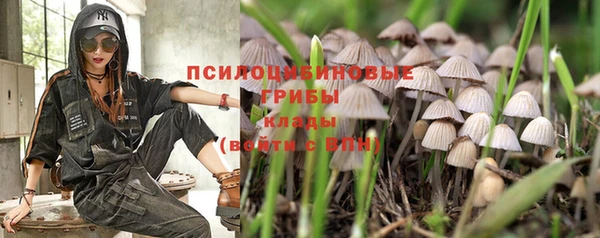 крисы Арсеньев