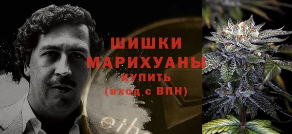гашик Аркадак