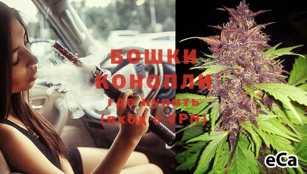 гашик Аркадак