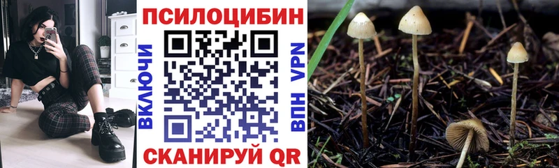 магазин продажи наркотиков  Покачи  Галлюциногенные грибы MAGIC MUSHROOMS 